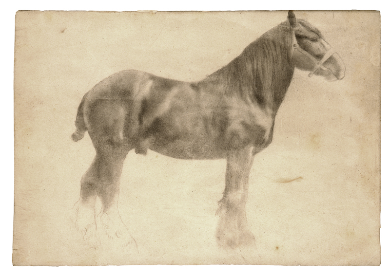 15 Plough Horse2