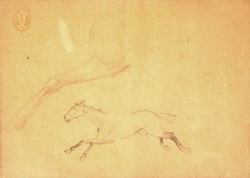 16 Horses Galloping2