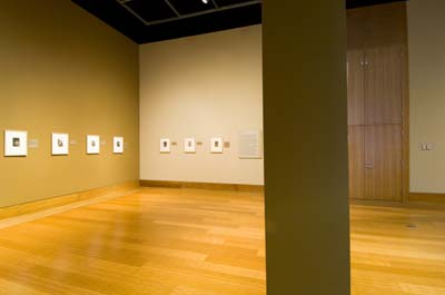 Goya LOS CAPRICHOS view 15