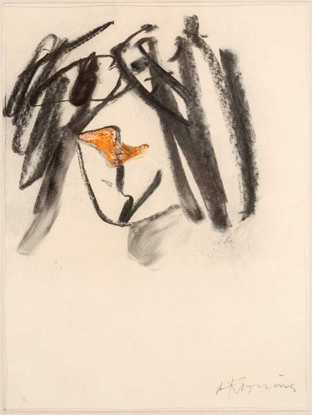 17deKooning