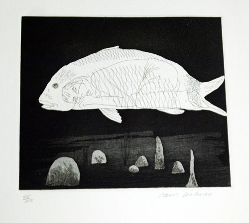 05 Little Sea Hare