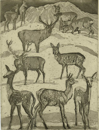 Imler, Edgar - Deer Park