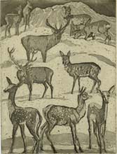 Imler, Edgar - Deer Park