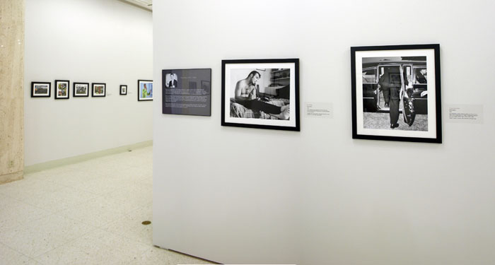 Panorama 13